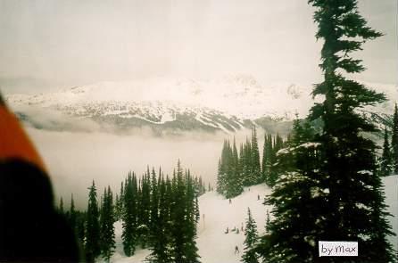 Taken by Maxwell form the gondola descending Whistler mountain.