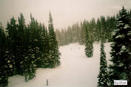 Taken by Maxwell form the gondola descending Whistler mountain.