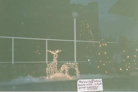 Maxwell exchanging snow balls with kids in a hot pool...
